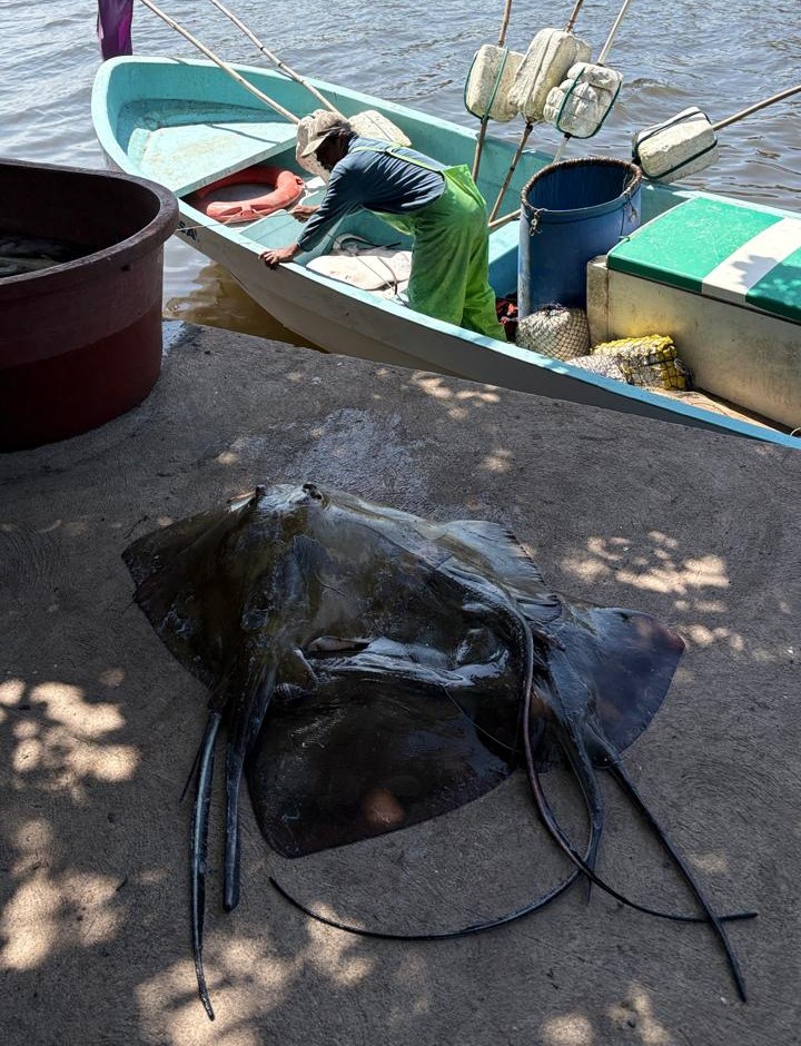 Exposición fotográfica